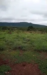 com 3 Quartos à venda, 180m² no , Acorizal