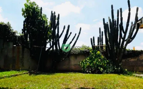 Casa com 3 Quartos à venda, 288m² no Vila Ida, São Paulo