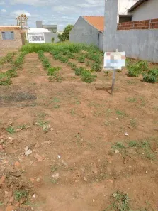 Lote/Terreno à venda, 185m² no Jardim do Cedro, Cedral