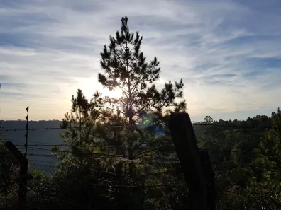 Lote/Terreno à venda, 785m² no , Canela