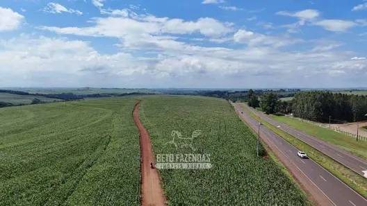 Fazenda/Sítio à venda, 2783000m² no Área Rural de Maringá, Maringá