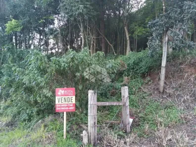 Lote/Terreno à venda, 1145m² no Nova Petrópolis, Nova Petrópolis