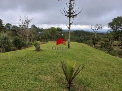 Fazenda/Sítio à venda, 8741m² no Ipê, São José dos Pinhais