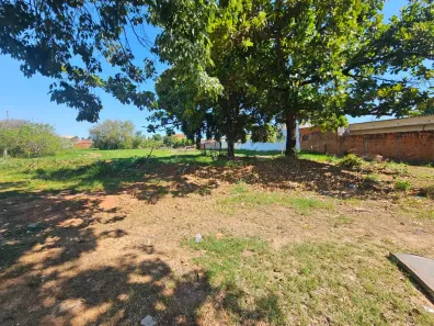 Lote/Terreno à venda, 13000m² no Centro (Ruilândia), Mirassol