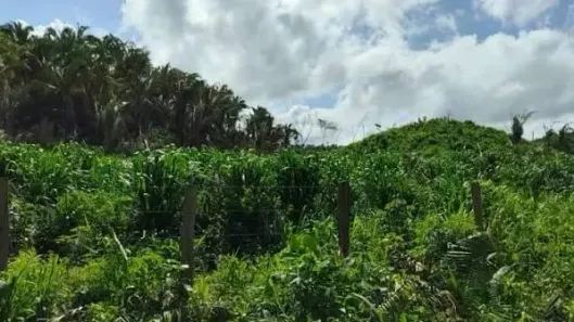 Fazenda/Sítio à venda, 6150000m² no , Vargem Grande