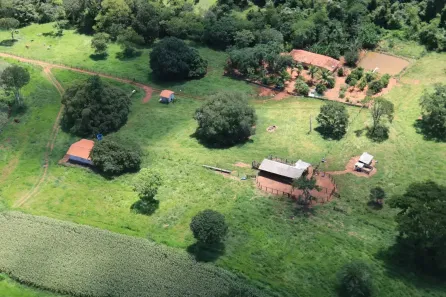 Fazenda/Sítio à venda, 8m² no , Taquaral de Goiás