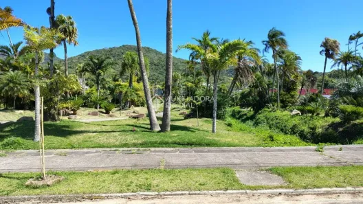Lote/Terreno à venda, 460m² no Vargem do Bom Jesus, Florianópolis