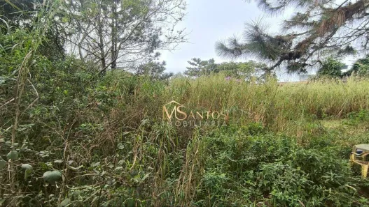 Lote/Terreno à venda, 666m² no São João do Rio Vermelho, Florianópolis