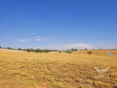 Lote/Terreno à venda, 1003m² no Parque Reserva Fazenda Imperial, Sorocaba