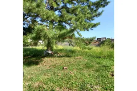 Lote/Terreno à venda, 250m² no Águas Mortas, Gravataí