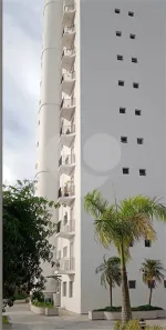 Apartamento com 3 Quartos à venda, 121m² no Parque Mandaqui, São Paulo