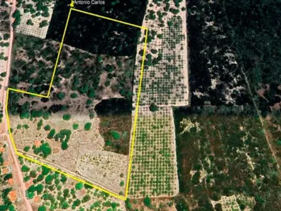 Fazenda/Sítio com 1 Quarto à venda, 11m² no Serra do Félix, Beberibe