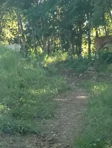 Fazenda/Sítio à venda, 2m² no , Bela Vista de Goiás