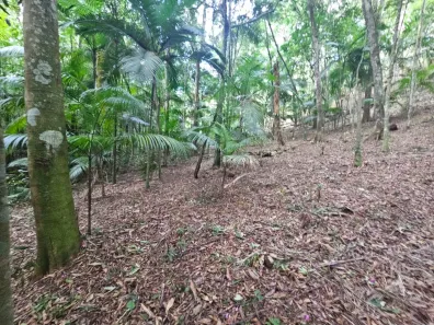 Lote/Terreno à venda, 1300m² no Centro, Juquitiba