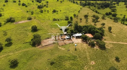 Fazenda/Sítio com 3 Quartos à venda, 244m² no Setor Central, Crixás