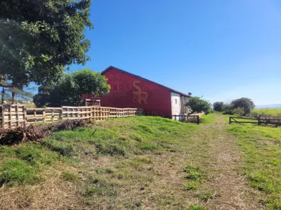Fazenda/Sítio à venda, 28000m² no Centro, São Simão