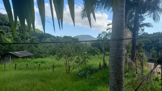 Fazenda/Sítio com 3 Quartos à venda, 20000m² no Centro, Luiz Alves
