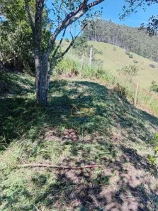 Lote/Terreno à venda, 510m² no , Monteiro Lobato