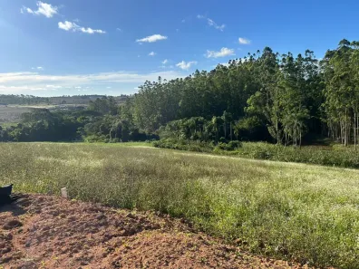 Lote/Terreno à venda, 500m² no Santana, Cotia