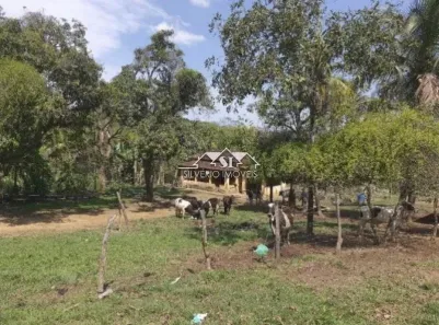 Fazenda/Sítio com 2 Quartos à venda, 350m² no Vila Americana, Queimados