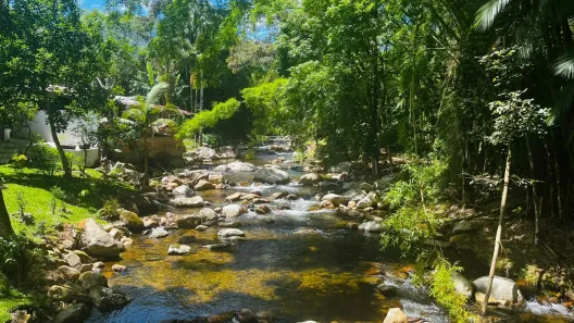 Lote/Terreno à venda, 6773m² no Morretes, Morretes