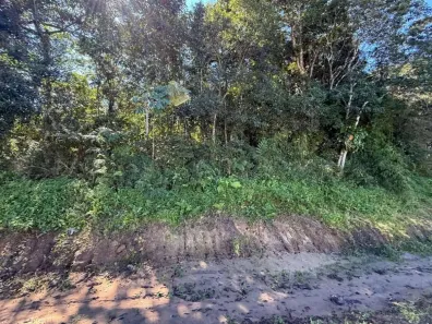 Lote/Terreno à venda, 415m² no Gaivota (Interior), Itanhaém