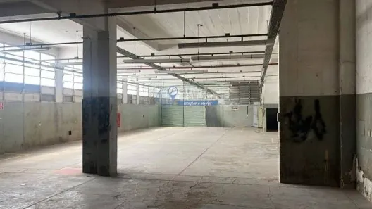 Galpão/Depósito/Armazém para alugar, 800m² no Vila Nova York, São Paulo