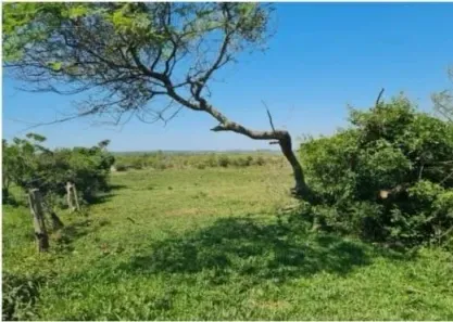 Lote/Terreno à venda, 80000m² no Urussanga Velha, Balneário Rincão
