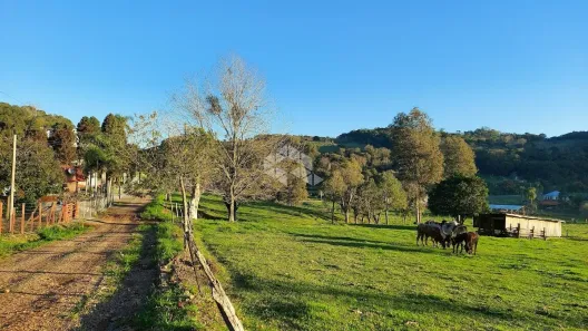 Fazenda/Sítio com 1 Quarto à venda, 13934m² no , Garibaldi