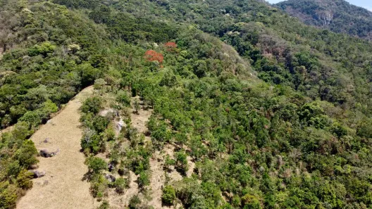 Fazenda/Sítio à venda, 145000m² no , São Bento do Sapucaí