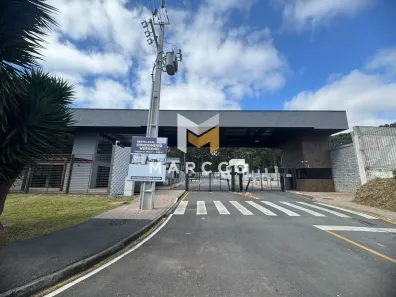 Casa de Condomínio com 3 Quartos à venda, 280m² no Aristocrata, São José dos Pinhais