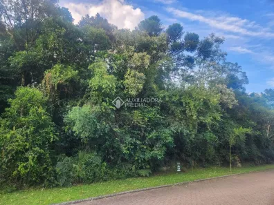 Lote/Terreno à venda, 802m² no Reserva da Serra, Canela