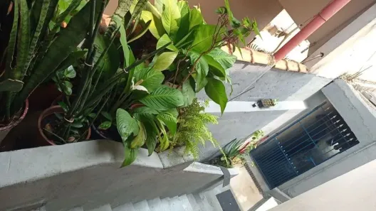 Casa com 2 Quartos à venda, 180m² no Jardim Ana Estela, Carapicuíba