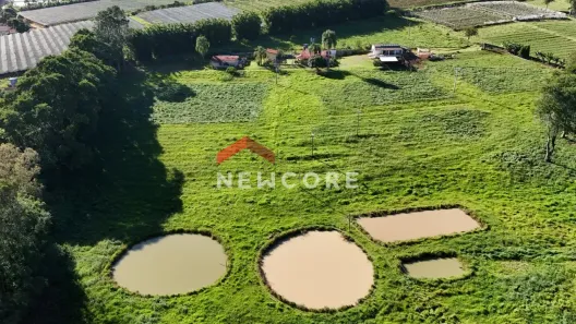 Fazenda/Sítio com 4 Quartos à venda, 1000m² no Centro, São Miguel Arcanjo