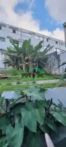 Lote/Terreno à venda, 300m² no Taboão, São Bernardo do Campo