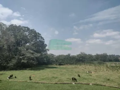 Fazenda/Sítio com 2 Quartos à venda, 200m² no Saltinho, Paulínia