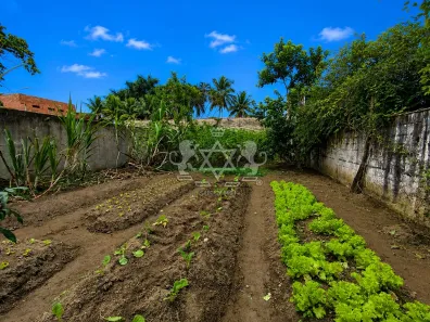 Lote/Terreno à venda, 550m² no Praia das Palmeiras, Caraguatatuba