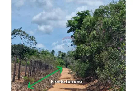 Lote/Terreno à venda, 3000m² no Taborda, São José de Mipibu