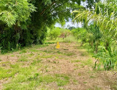 Lote/Terreno à venda, 4313m² no Centro, Rio dos Cedros