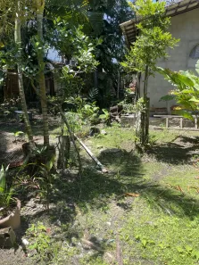 Fazenda/Sítio com 3 Quartos à venda, 3610m² no Vila Praiana, Lauro de Freitas