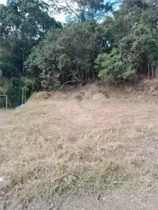 Lote/Terreno à venda, 481m² no Jardim Peri, São Paulo