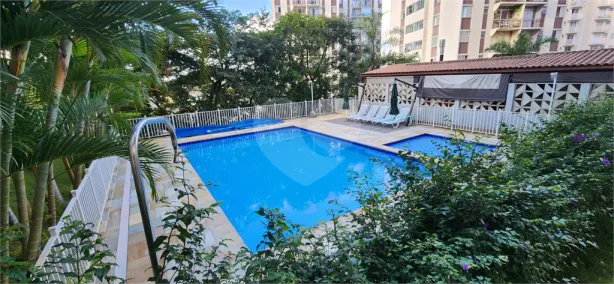 Apartamento com 3 Quartos à venda, 69m² no Jardim Celeste, São Paulo