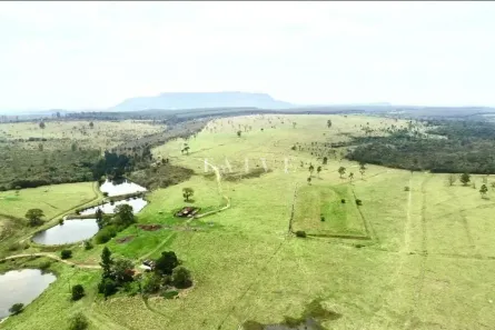 Fazenda/Sítio à venda, 10m² no Área Rural de Botucatu, Botucatu