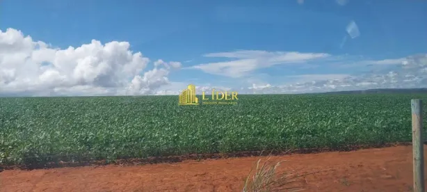 Fazenda/Sítio à venda, 502m² no Centro, São João D'Aliança