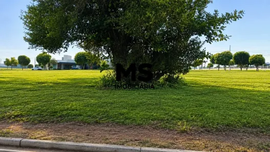Lote/Terreno à venda, 525m² no Condomínio Mirante do Rio Paraná, Porto Rico
