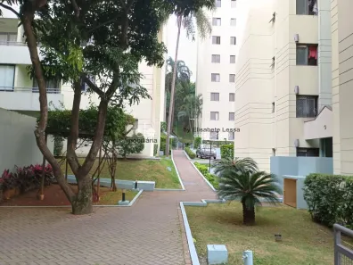 Apartamento com 2 Quartos à venda, 53m² no Vila Palmeiras, São Paulo