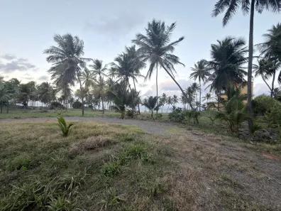 Lote/Terreno à venda, 10000m² no Busca Vida (Abrantes), Camaçari