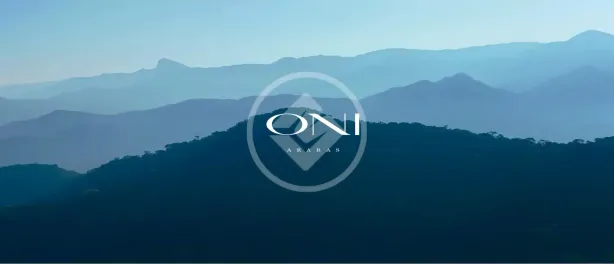 Lote/Terreno à venda, 2678m² no Araras, Petrópolis
