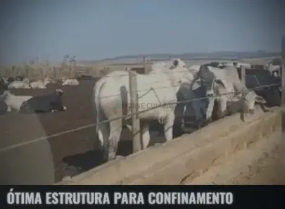 com 3 Quartos à venda, 780m² no Área Rural de Mineiros, Mineiros