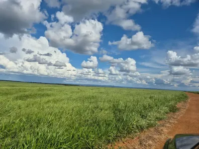 Fazenda/Sítio à venda, 901m² no Centro, General Carneiro